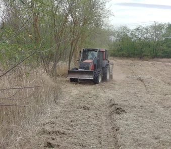 Rodung Tierheim Varna