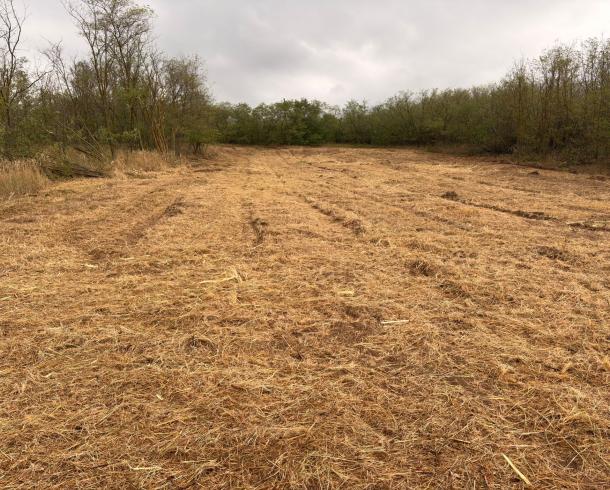 Erster Schritt abgeschlossen