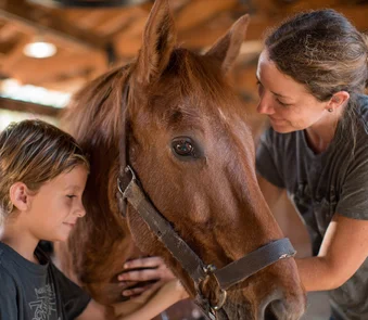 Therapeutisches Reiten
