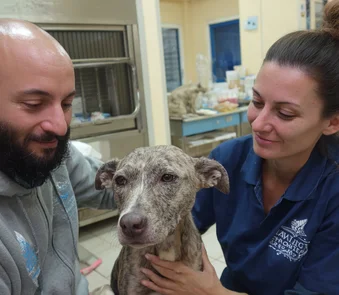 Erhaltung Tierheim Varna